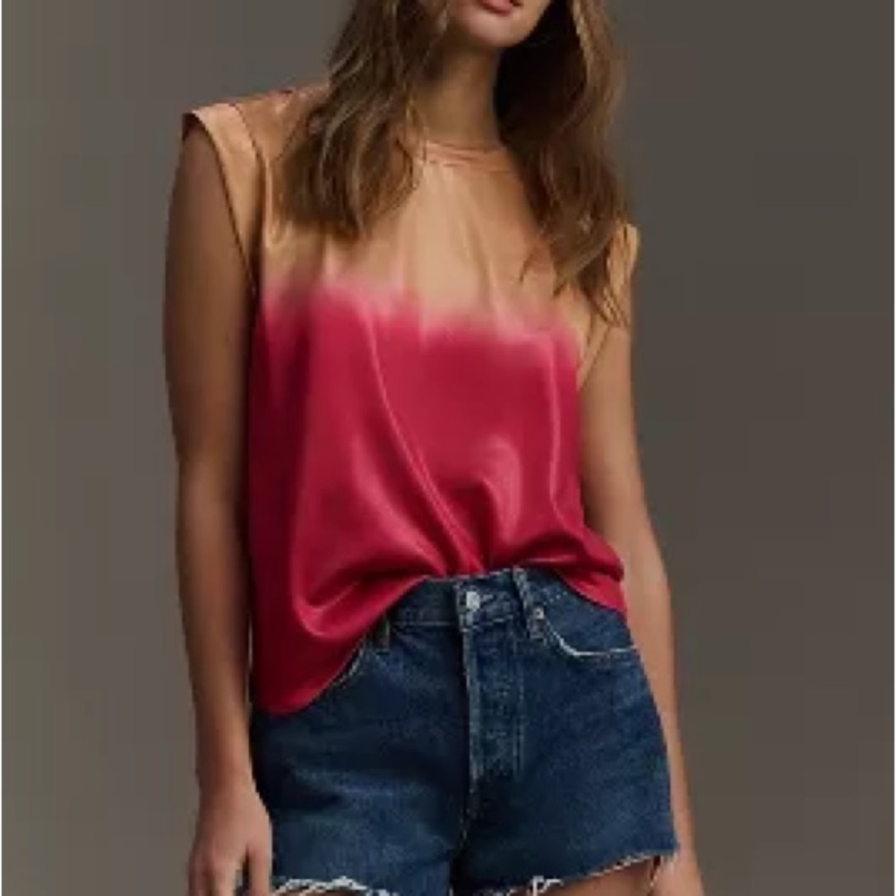 NWT Anthropologie PORRIDGE ombré size small tee
